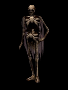 Skeleton King